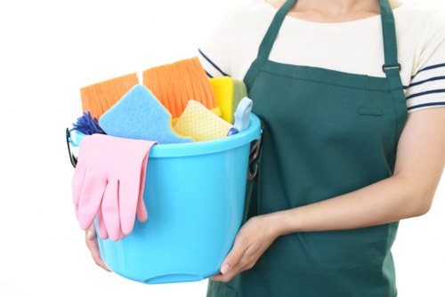 Professional cleaning company in Highbury servicing a modern home interior