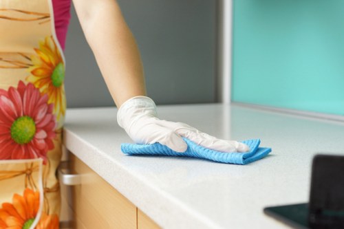 Professional office cleaners working in a Highbury workspace