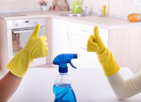 Professional home cleaners in Highbury cleaning a bright living room