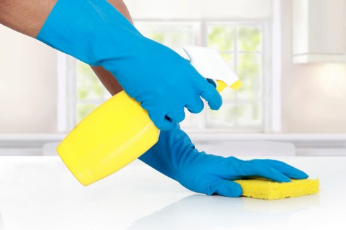 Carpet cleaning safety measures and equipment preparation