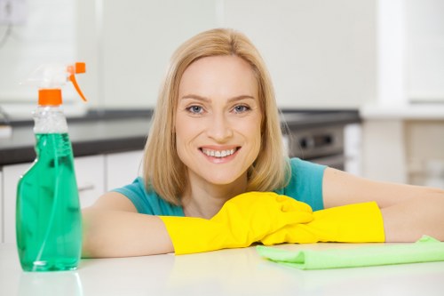 Bright, streak-free windows after Highbury window cleaning