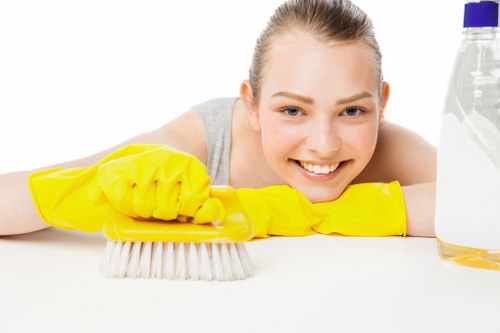Professional cleaners in Highbury providing domestic cleaning in a modern home