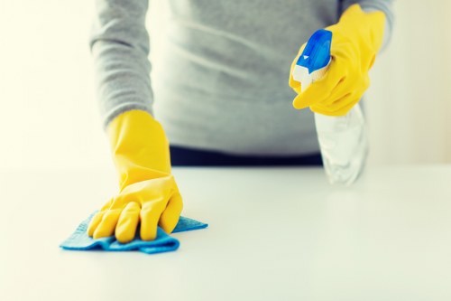 Experienced cleaners in Highbury handling kitchen and bathroom cleaning tasks