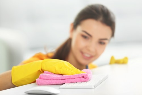 Highbury cleaning services for deep cleaning and property maintenance