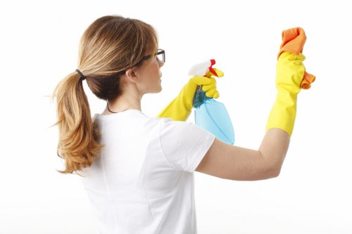 Complaint investigation notes for carpet cleaning work