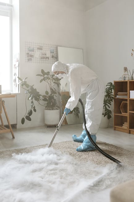 A professional cleaner dressed in a white protective suit, including a hood, gloves, and blue shoe covers, is using a vacuum or steam cleaning machine on a beige carpet in a bright, modern living room. The room features a white wall with a large window that allows natural light to illuminate the space, a wooden sideboard with decorative items, and several potted houseplants, including a large one near the window. The surface of the carpet appears freshly cleaned and free of dust or debris, highlighting the comprehensive domestic cleaning service provided by Carpet Cleaning Highbury for end of tenancy or deep cleaning. The scene emphasizes hygiene, surface cleaning, and maintenance within a tidy, well-lit interior environment.